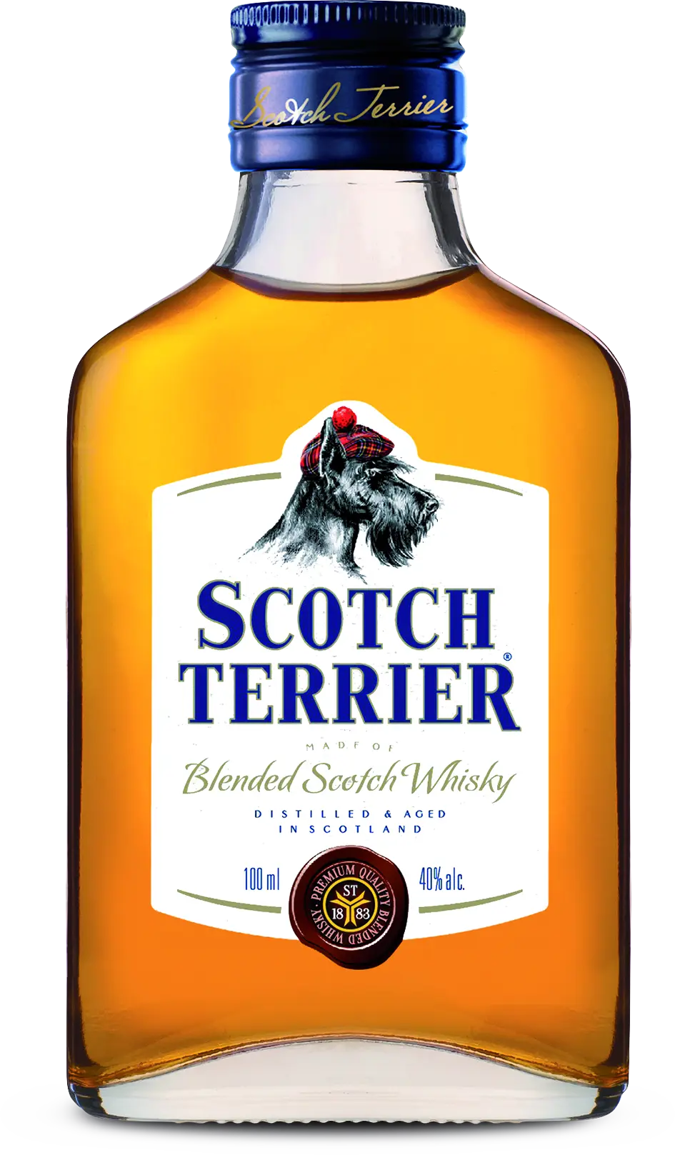 Scotch Terrier (Скотч Терьер)