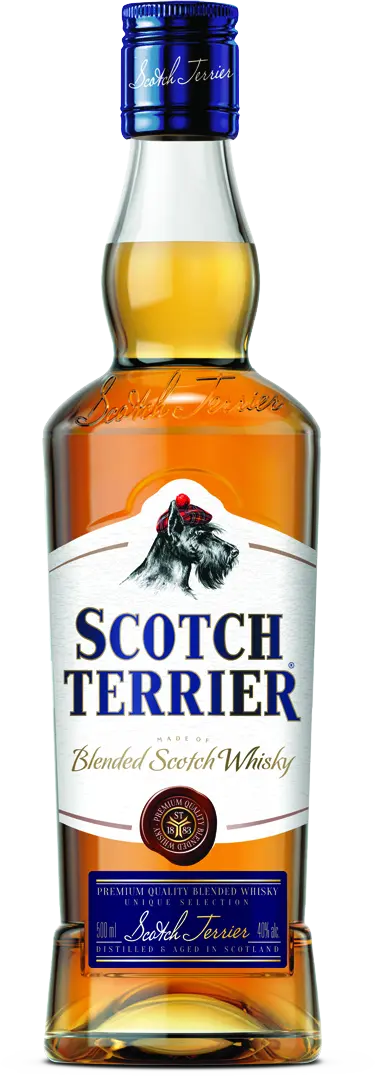 Scotch Terrier (Скотч Терьер)