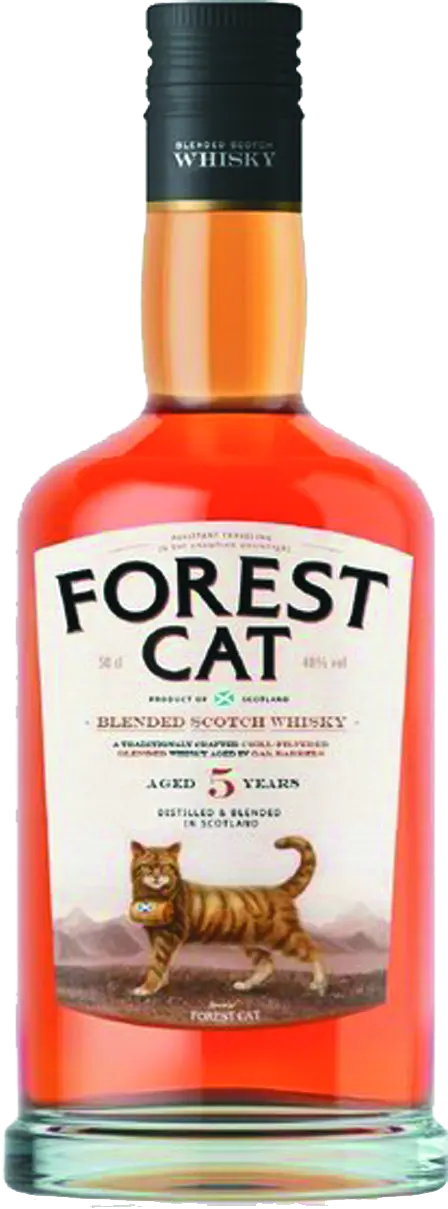 Forest Cat (Форест Кэт) 5 лет