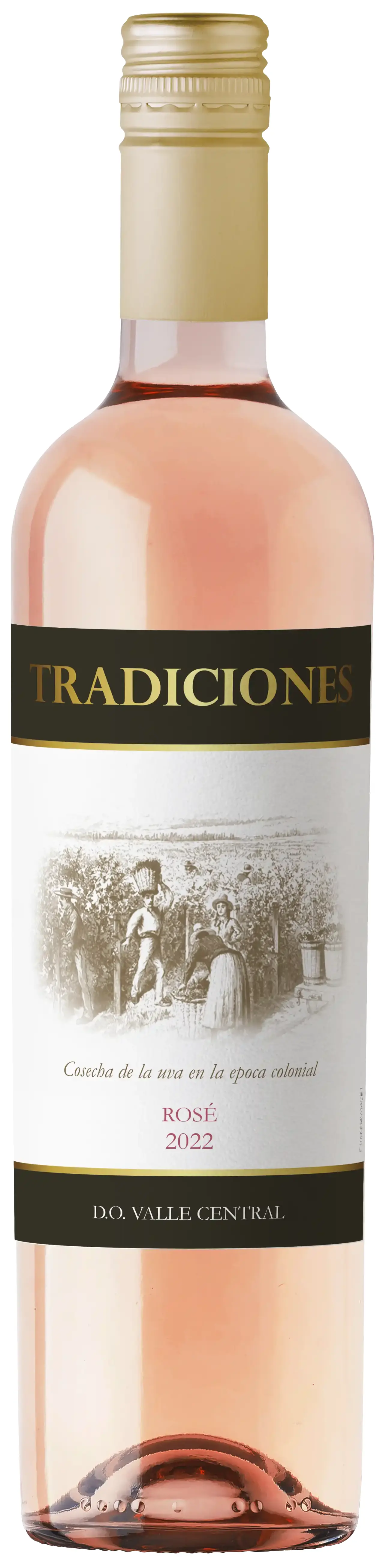 Вино Традисьонес Розе розовое сухое